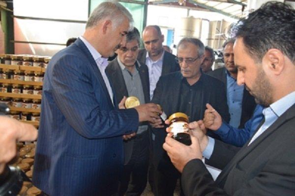 بازدید معاون وزیر صنعت، معدن و تجارت از شهرک های صنعتی مرند بازدید معاون وزیر صنعت، معدن و تجارت از شهرک های صنعتی مرند