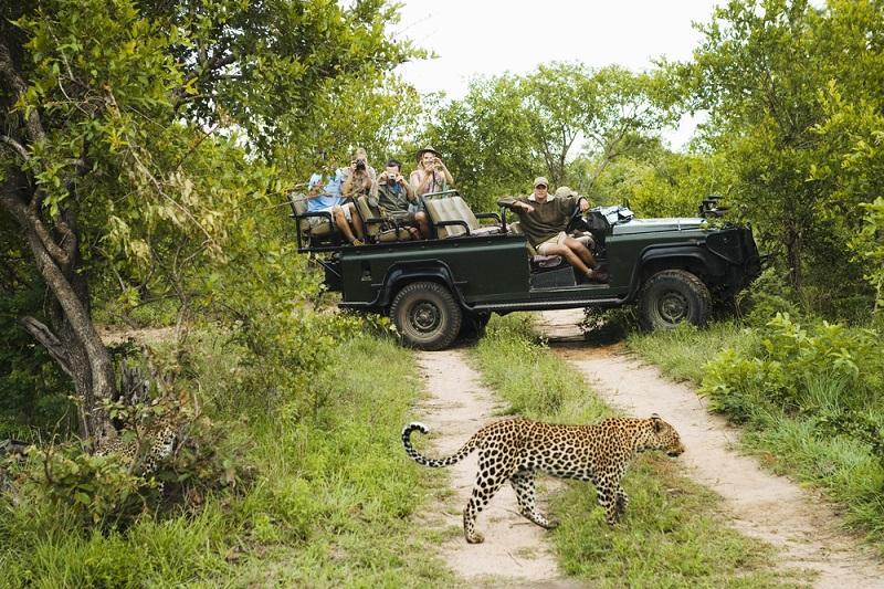 سافاری چیست (Safari)؟ سافاری چیست (Safari)؟