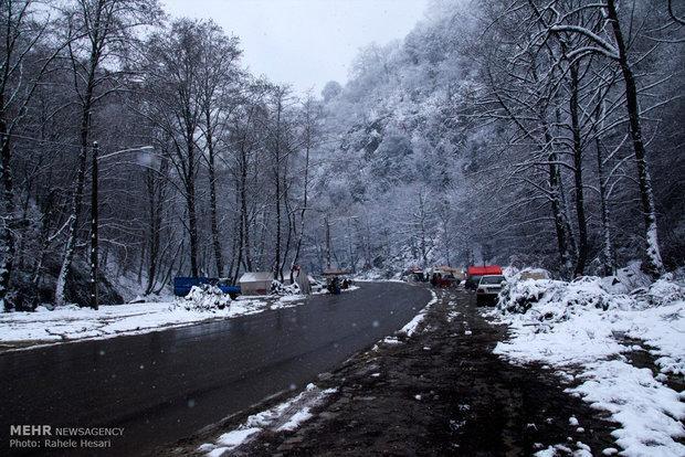 بارش پراکنده برف و باران در البرز، یخبندان در جاده های کوهستانی