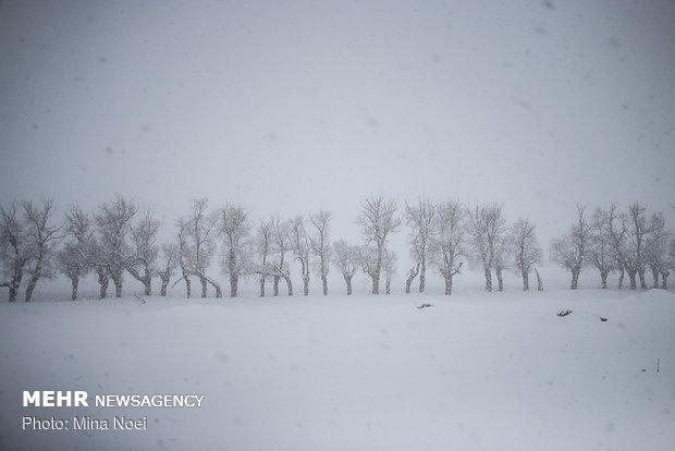 آغاز بارش برف در ایلام، آماده باش اکیپ های برف روبی شروع بارش برف در ایلام، آماده باش اکیپ های برف روبی