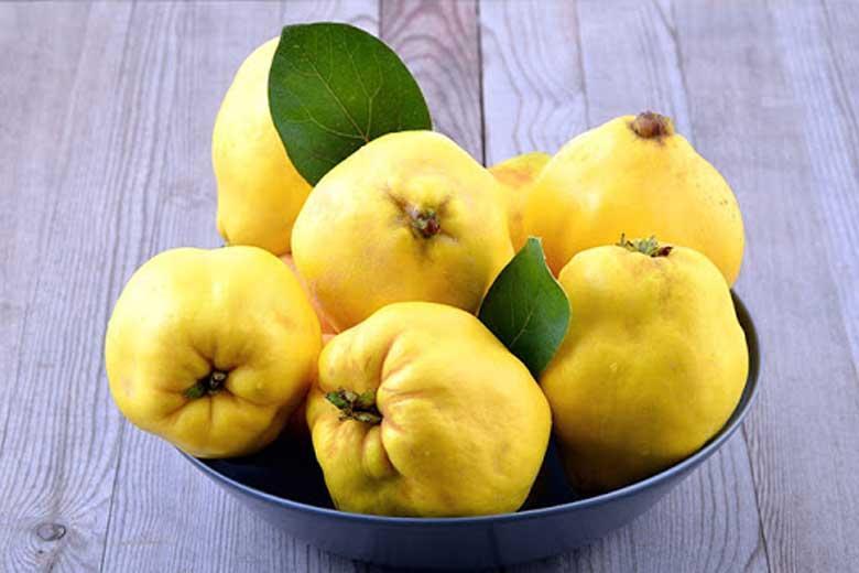 میوه ای که سیستم ایمنی تان را قوی می کند میوه ای که سیستم ایمنی تان را قوی می کند