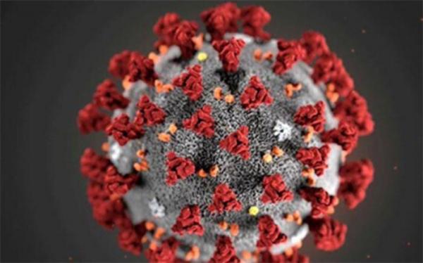 ویروس مُسری تر کرونا خطرناک تر و در مقابل واکسن های کووید-19 مقاوم است؟