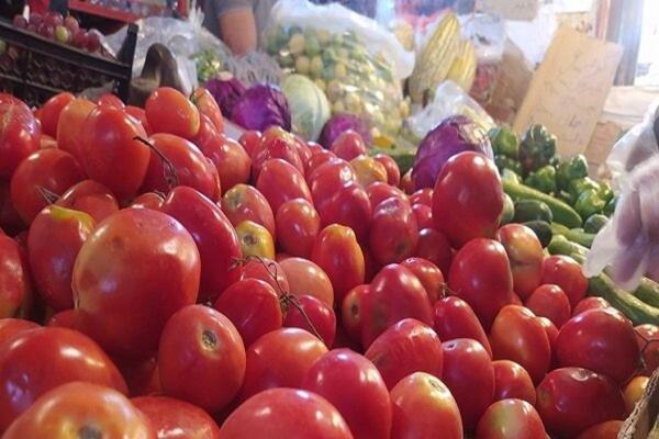 وعده ارزانی گوجه فرنگی از ماه آینده