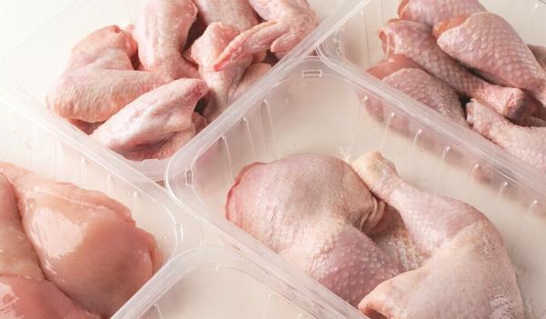 تغییرات قیمت گوشت بوقلمون در میادین ، هر کیلو شقه بوقلمون چند؟